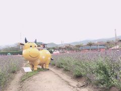 -盈香心动乐园