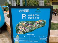 -世界恐龙谷景区