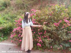 -木兰云雾山