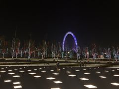 -南京眼步行桥