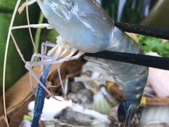 -Thai Basil罗勒叶泰式餐厅(时代天街店)