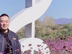 -密云玫瑰情园