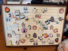 -有猫主题·治愈系猫咖(曾厝垵店)