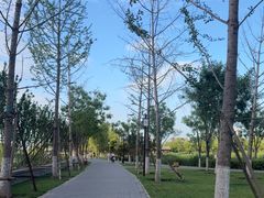 -西海子公园