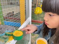 -廊坊固安福朋喜来登酒店