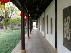 -东平国家森林公园