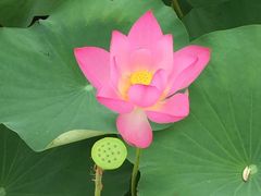 -北京宽沟会议中心