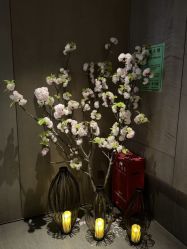 -VELEE·SPA高定疗愈会所