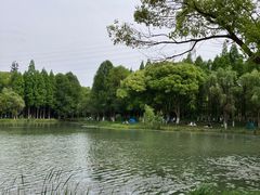 -新洲生态园