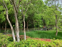 -昆山城市生态森林公园