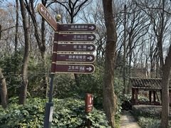 -紫霞湖公园