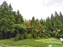 -东平国家森林公园