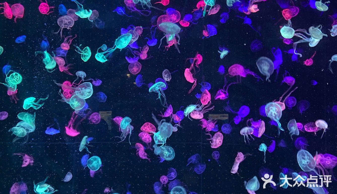 长隆海洋王国