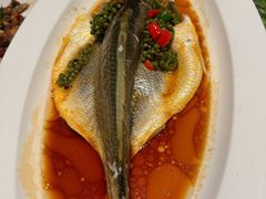 -祥记餐饮•豫粤珍味(金隅大厦店)
