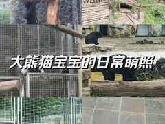 -黔灵山公园