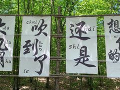 -大九湖