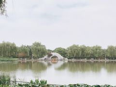 -洛阳市隋唐城遗址植物园