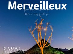 -相聚青山餐厅(阎河路店)