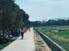 -嘉北郊野公园