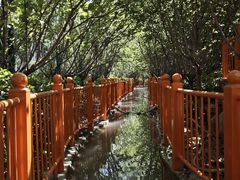 -太阳宫公园