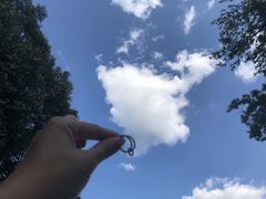 -布拉迪斯拉发城堡