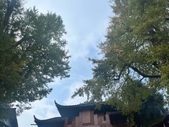 -青城山