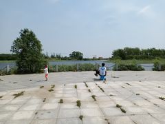 -蒲河岛湿地公园