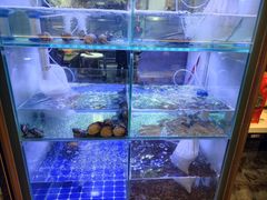 -皮蛋弟砂锅店(总店)