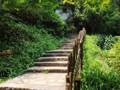 -茶颜悦色(岳麓山顶店)