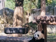 -西安秦岭野生动物园