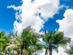 -佰园全日西餐厅-厦门佰翔软件园酒店