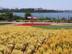 -立新湖公园