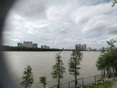 -顺德美的万豪酒店-万豪中餐厅