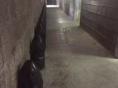 -胡里山炮台
