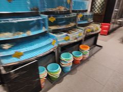 -正德楼果木烤鸭·渔家菜(东港店)