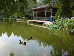 -宣武艺园