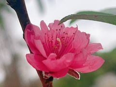 -四海公园(南山区)