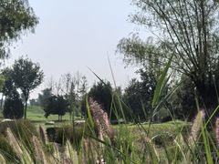 -汉长安城未央宫国家考古遗址公园