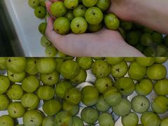 -奈雪的茶(花城汇中区PRO店)