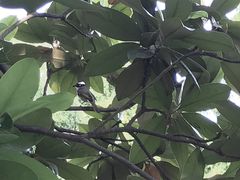 -常州古运河南大街文化旅游区-人民公园