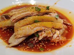 招牌椒麻鸡-姚姚酸菜鱼·金戈戈香港豉油鸡(喜荟城联名店)