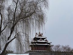 -故宫博物院(故宫)