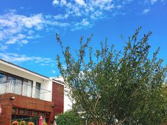 -望海·帆船主题咖啡厅•品茗下午茶(石湖景区店)