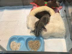 -乐宠宠物店(世纪金源店)