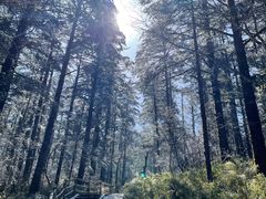 -峨眉山风景名胜区