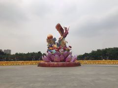 -映月湖公园
