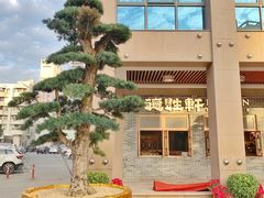 -德胜轩正宗顺德菜(宝安沙井会展中心店)