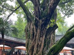 -成都武侯祠博物馆