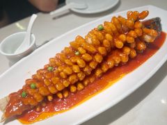 -刘胖子家常菜·蹄花焖藕(富安街店)