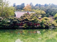 -井之头恩赐公园